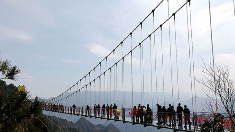 Самый высокий стеклянный мост в мире возвели в Китае Фото: Twitter/China Daily