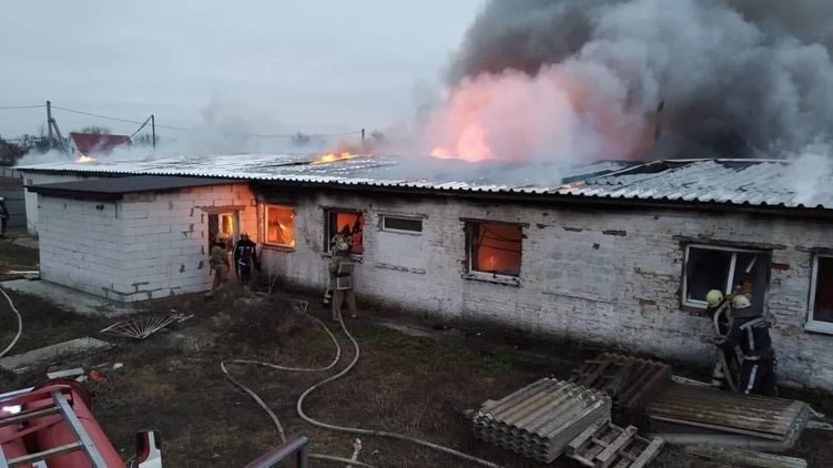Пожар в Киевской области. Фото: ГСЧС 
