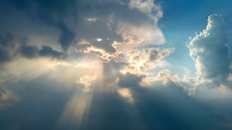 Наталья Диденко рассказала о погоне на выходных. Фото: Pixabay