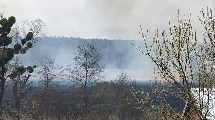 Киевские спасатели продолжают тушить возгорание травы и камыша в Обуховском районе. Фото: ДСНС України