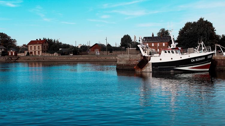 В Европе договорились разработать "Covid-паспорт". Фото: Pixabay