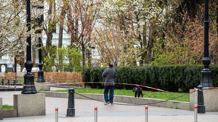 В Крыму в три раза возросло количество людей с подозрением на коронавирус. Фото: Страна
