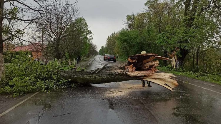 В Украине из-за непогоды без света остались 348 населенных пунктов. Фото: МВД