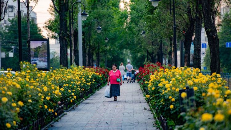 Климатологи зафиксировали очередной температурный рекорд в Киеве. Фото: Страна