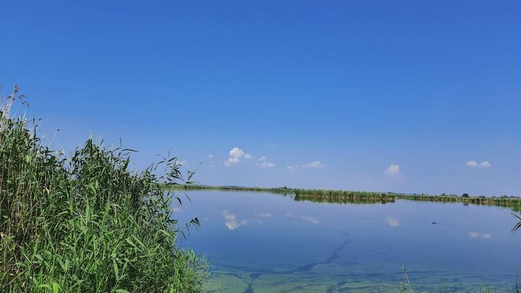 На большей части Украины в среду будет сухо и жарко. Фото: Страна