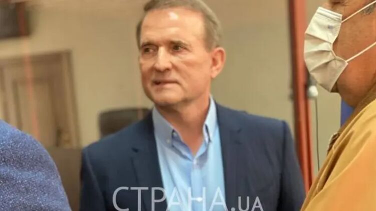 НАПК проверит декларацию Виктора Медведчука. Фото: "Страна"