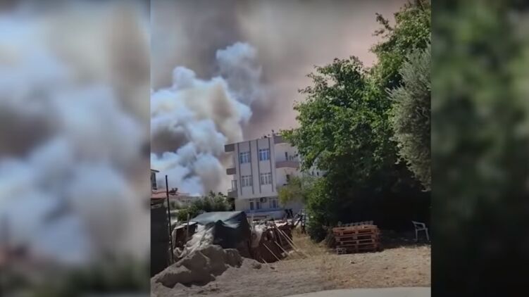 В Турции начались массовые лесные пожары. Фото: youtube.com/RT на русском