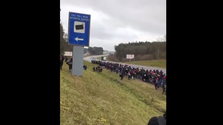 Толпа мигрантов идет к польско-белорусской границе. Скриншот из видео