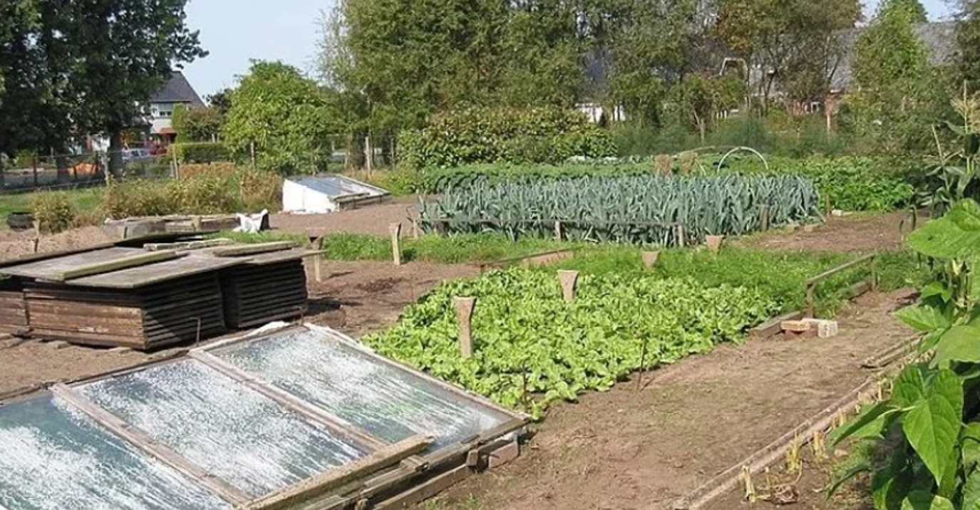Гроші за продаж на торгах земельних ділянок українців вилучають до російського бюджету. Ілюстративне фото: Wikimedia